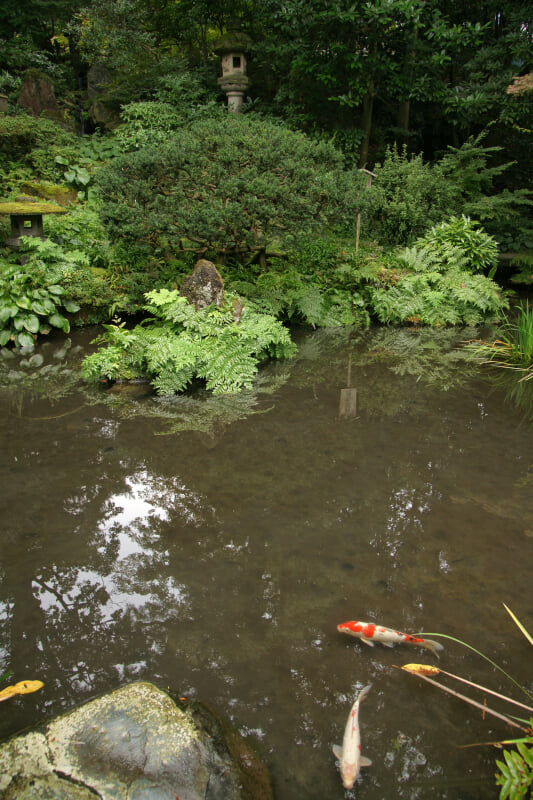 西田家庭園・玉泉園の写真5
