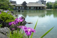 名勝養浩館庭園