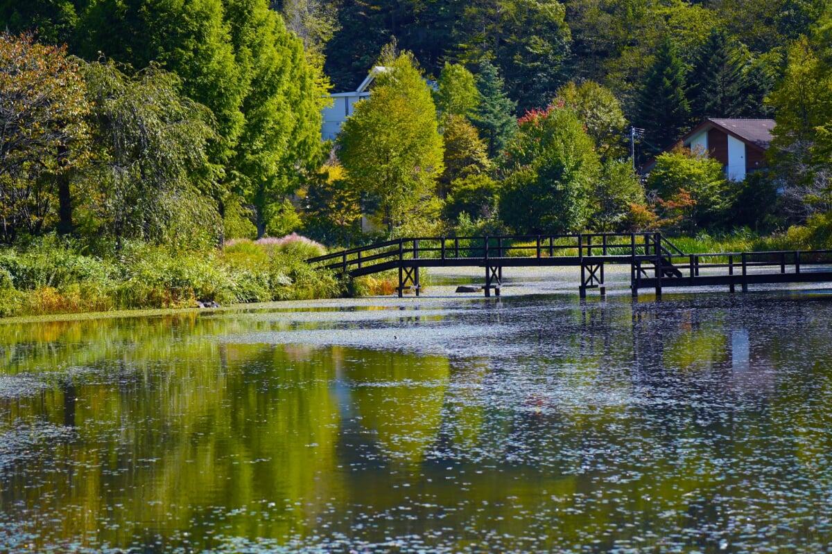 軽井沢レイクガーデンの写真2
