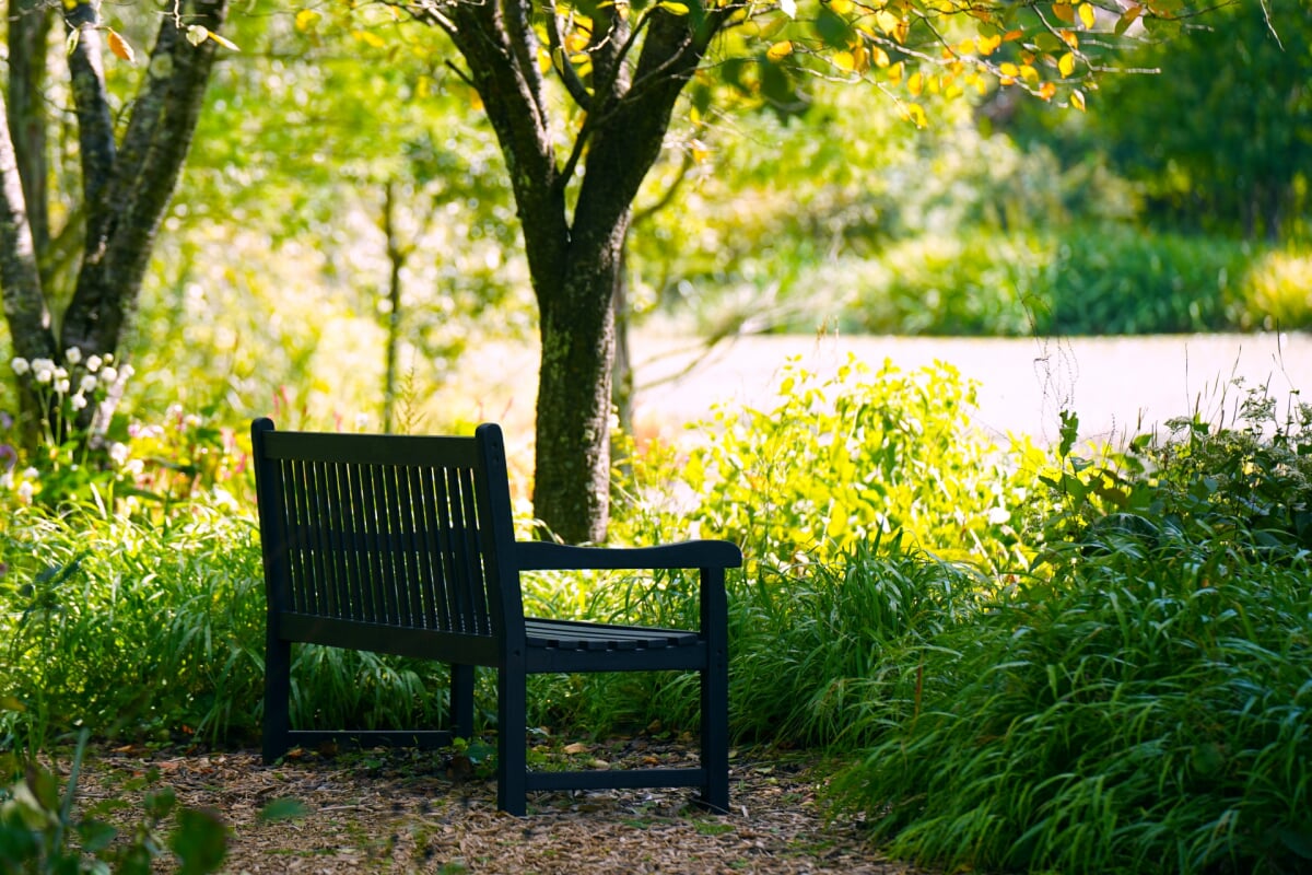 軽井沢レイクガーデンの写真3