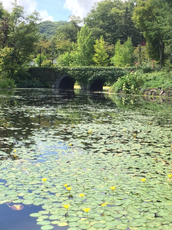 軽井沢レイクガーデンの写真4