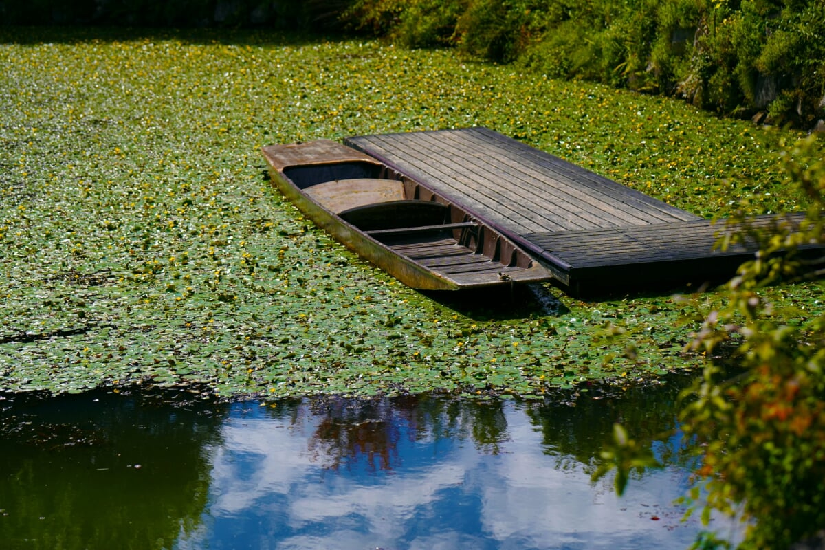 軽井沢レイクガーデンの写真6