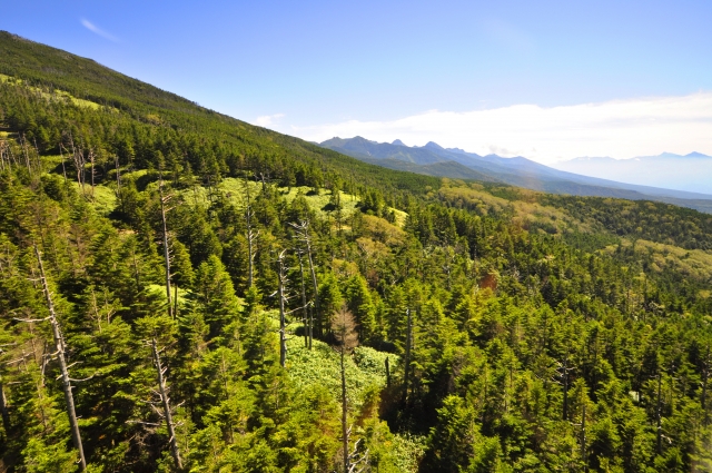 北八ヶ岳ロープウェイの写真3