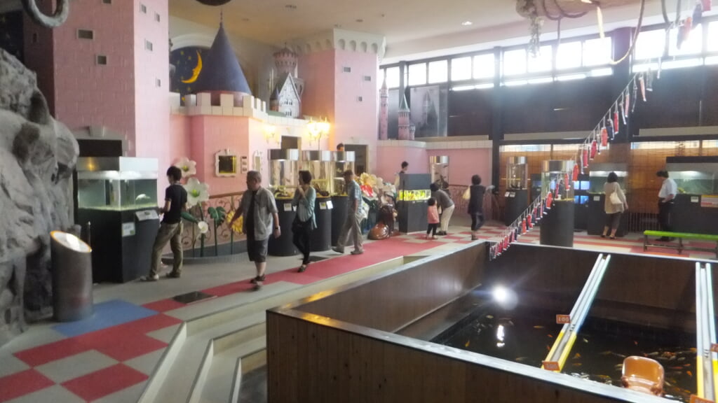 蓼科アミューズメント水族館の写真2