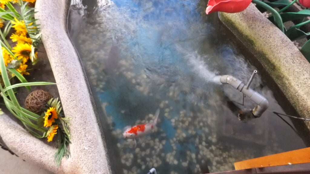 蓼科アミューズメント水族館の写真5