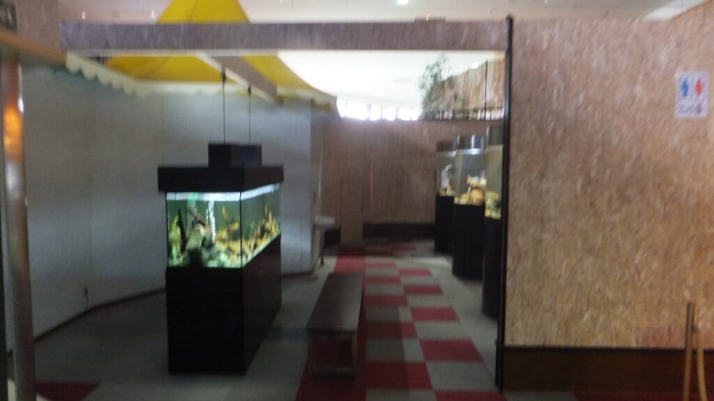 蓼科アミューズメント水族館の写真10