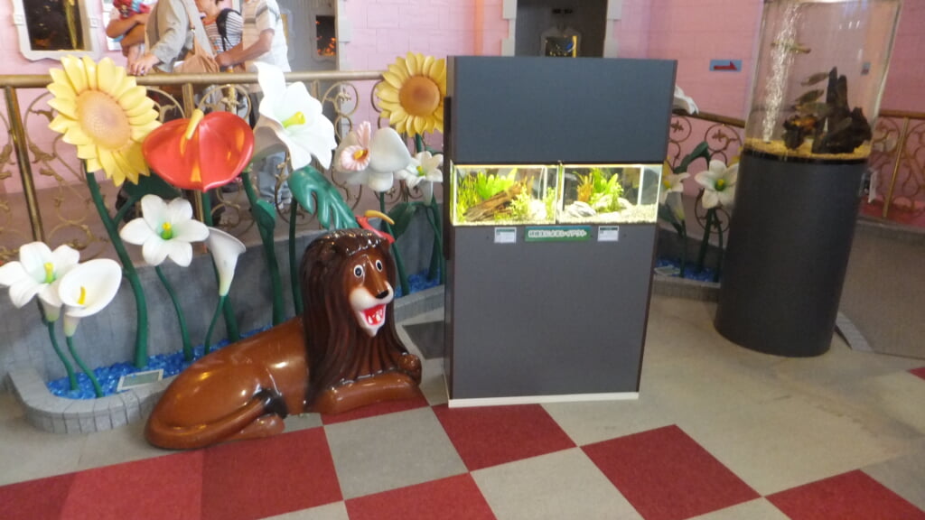 蓼科アミューズメント水族館の写真14