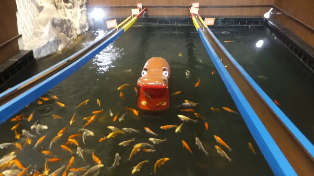 蓼科アミューズメント水族館の写真1