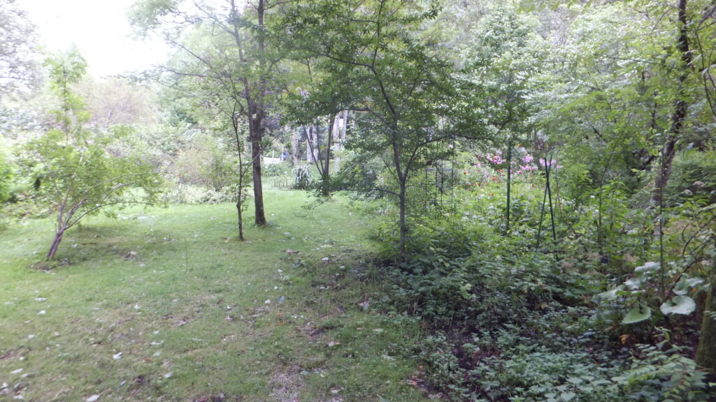 蓼科高原バラクライングリッシュガーデンの写真5