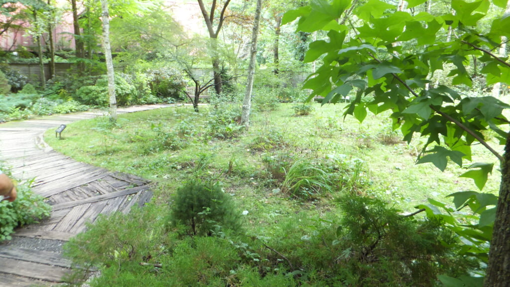 蓼科高原バラクライングリッシュガーデンの写真9