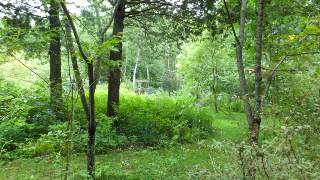 蓼科高原バラクライングリッシュガーデンの写真11