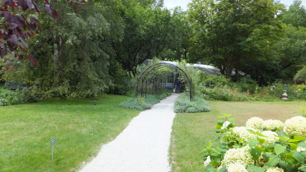 蓼科高原バラクライングリッシュガーデンの写真12