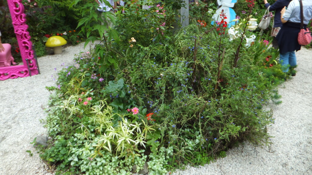 蓼科高原バラクライングリッシュガーデンの写真13