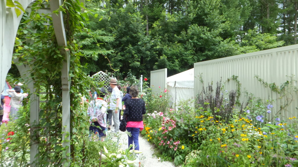 蓼科高原バラクライングリッシュガーデンの写真14