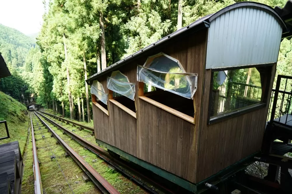 大滝鍾乳洞の写真1