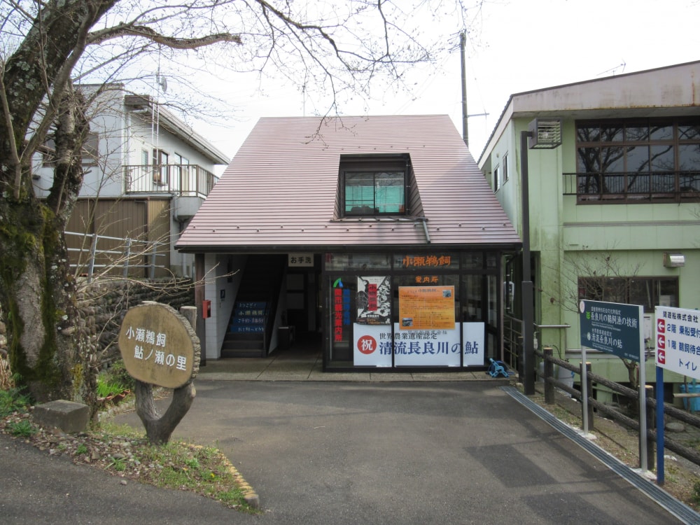 小瀬鵜飼の写真2