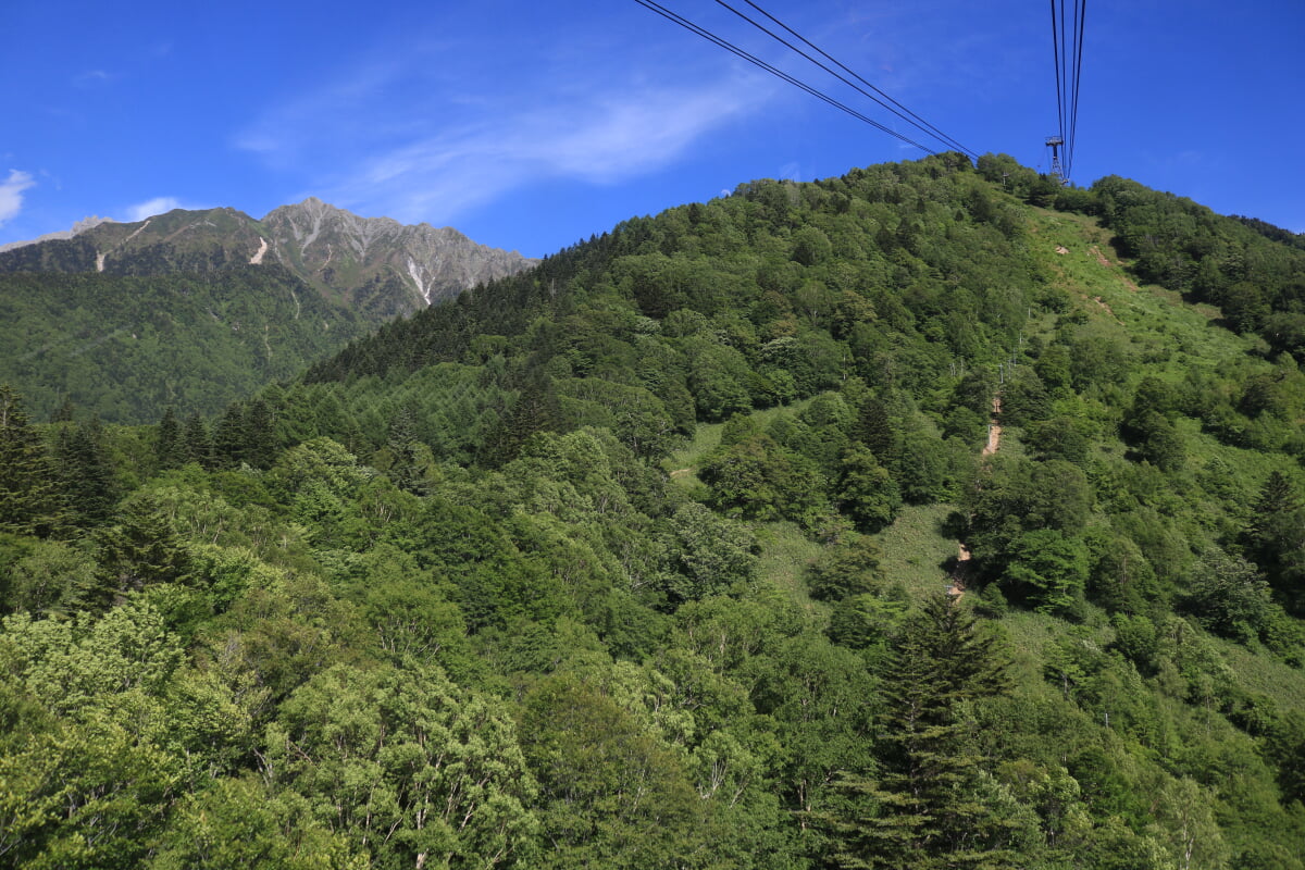 新穂高ロープウェイの写真8