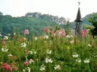 ダイナランドゆり園