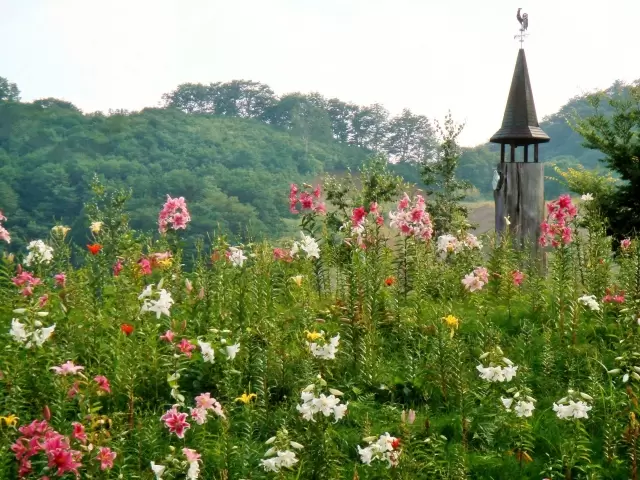 ダイナランドゆり園の写真1