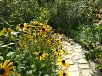 ACAO FOREST（旧:アカオハーブ&ローズガーデン)