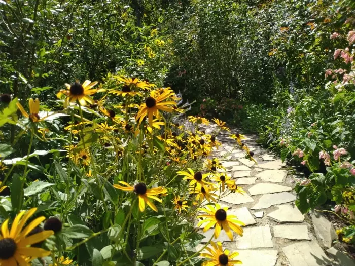 ACAO FOREST（旧:アカオハーブ&ローズガーデン)の写真1