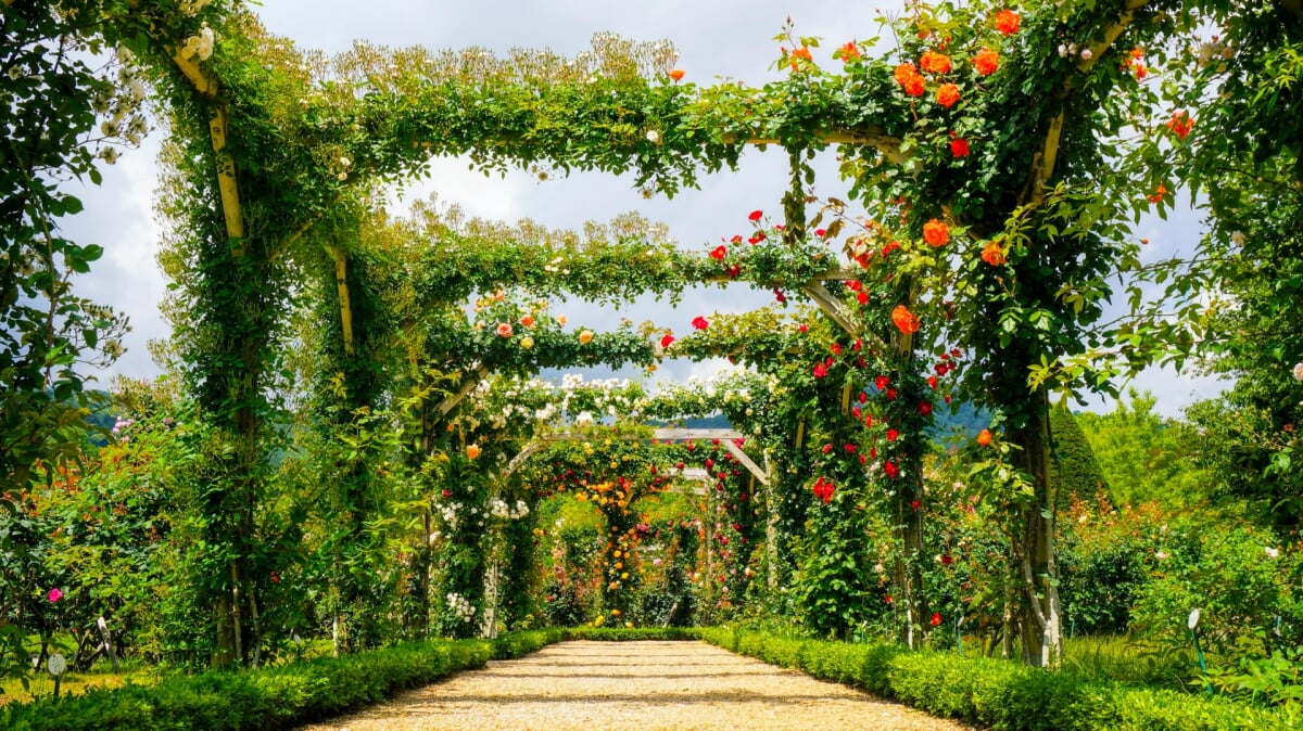 河津バガテル公園の写真3