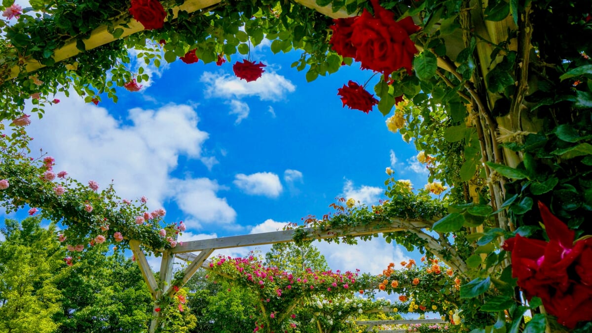 河津バガテル公園の写真1