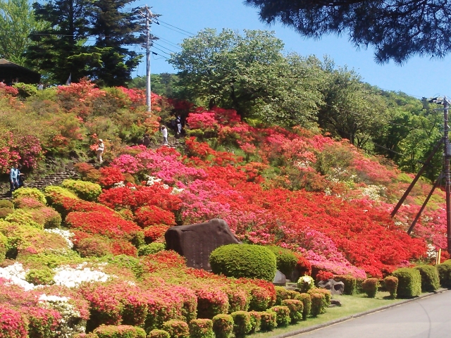 小室山公園の写真3