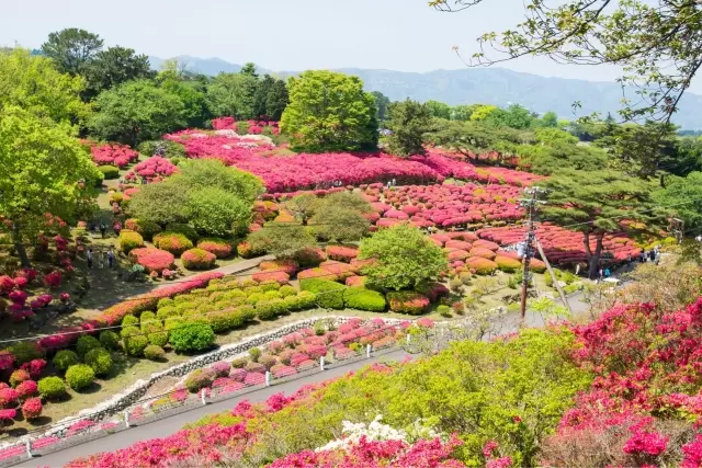 小室山公園の写真1