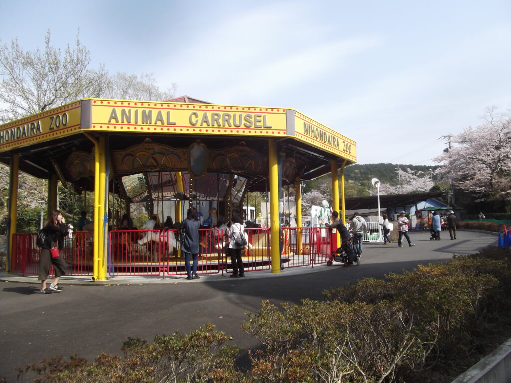 静岡市立日本平動物園の写真12