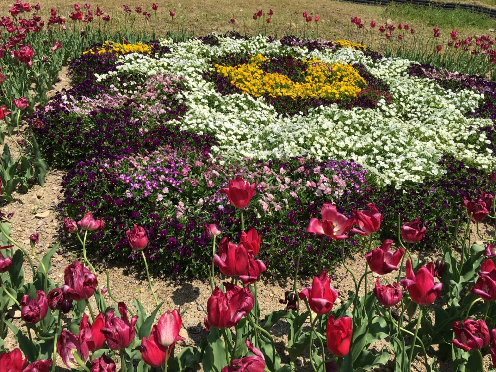 ハーベストの丘の写真6