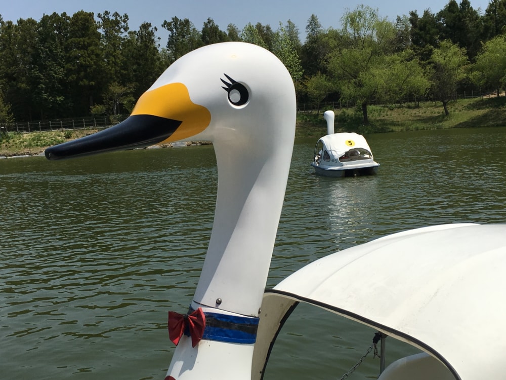 ハーベストの丘の写真7