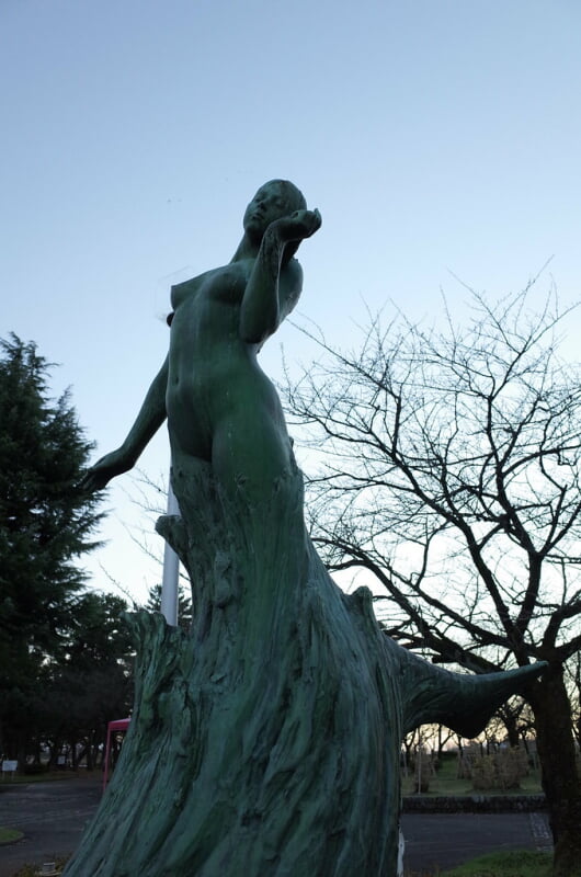 魚津水族館の写真5