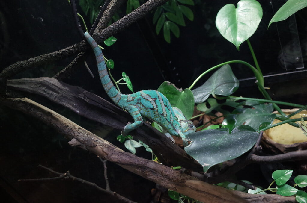 魚津水族館の写真12