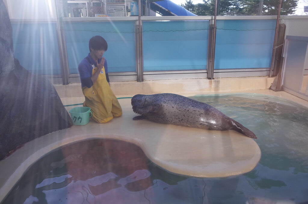 魚津水族館の写真16