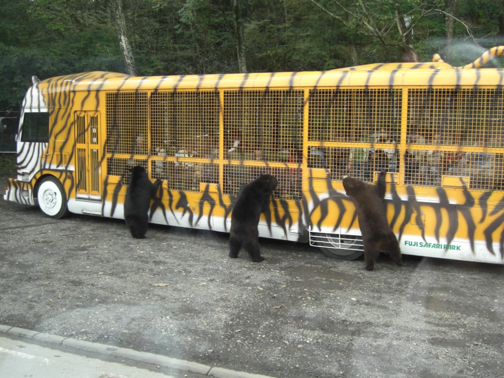 富士サファリパークの写真2