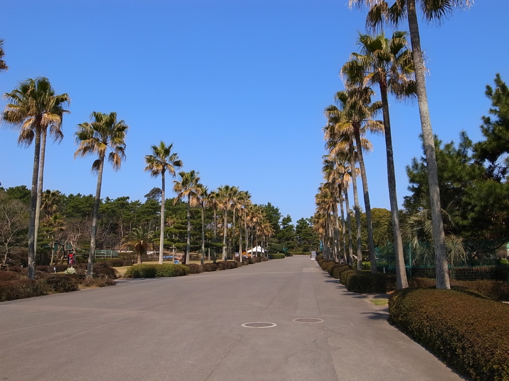 宮崎市フェニックス自然動物園の写真5