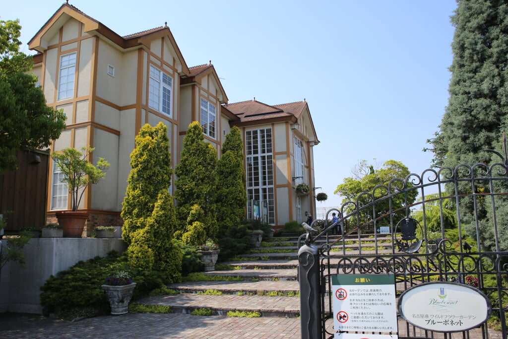 名古屋港ワイルドフラワーガーデン“ブルーボネット”の写真1