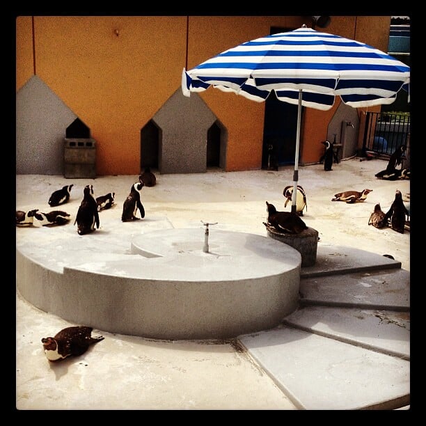 志摩マリンランドの写真1