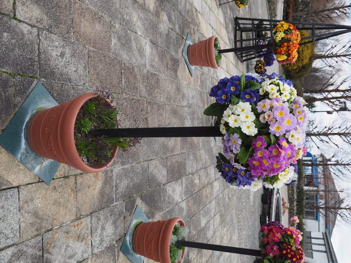 草津市立水生植物公園みずの森の写真2