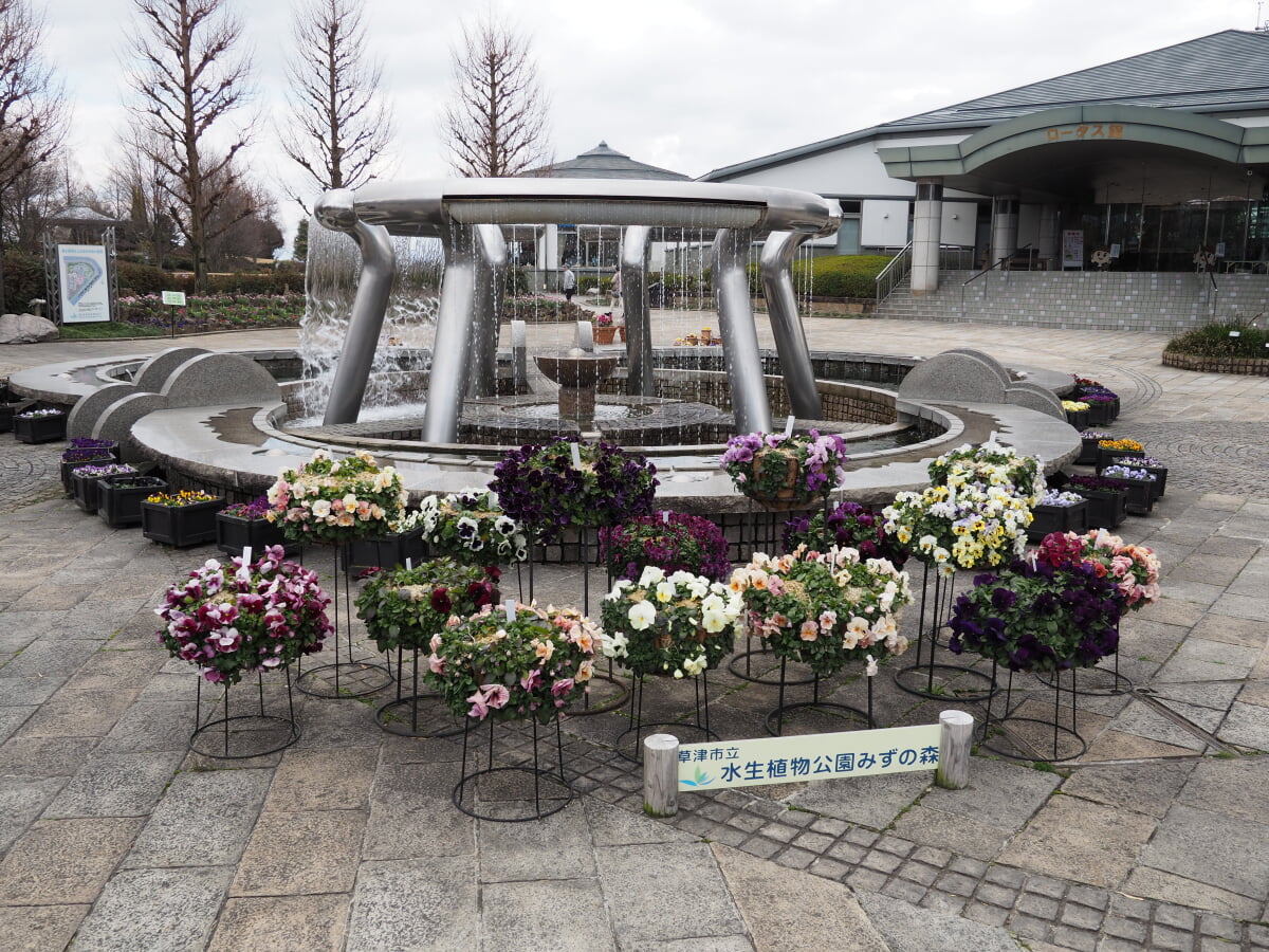 草津市立水生植物公園みずの森の写真4