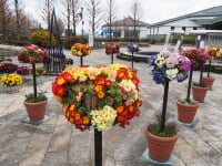 草津市立水生植物公園みずの森