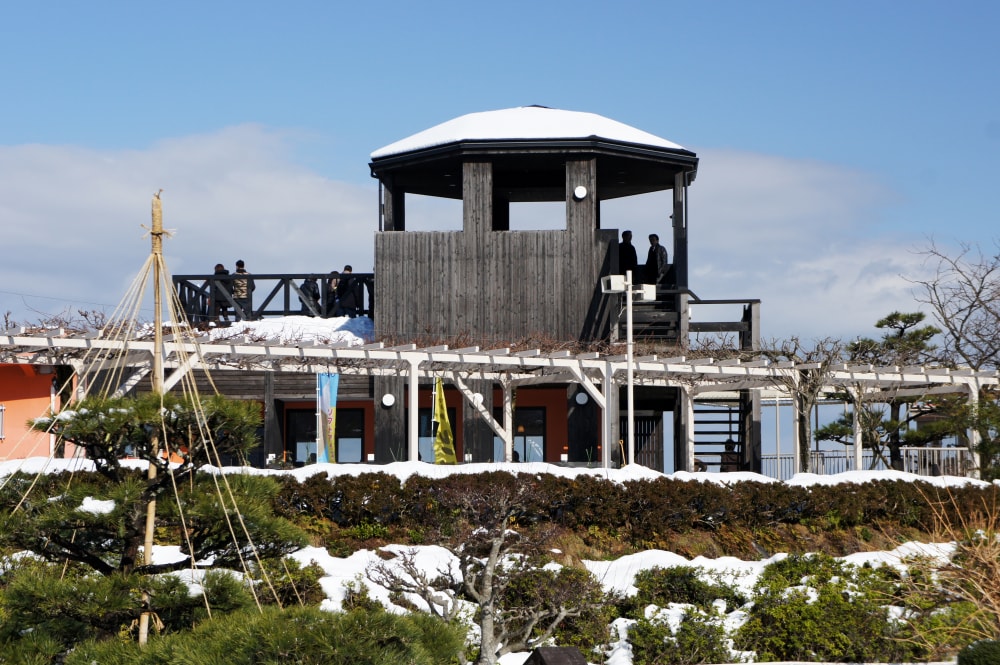 天橋立ビューランドの写真5