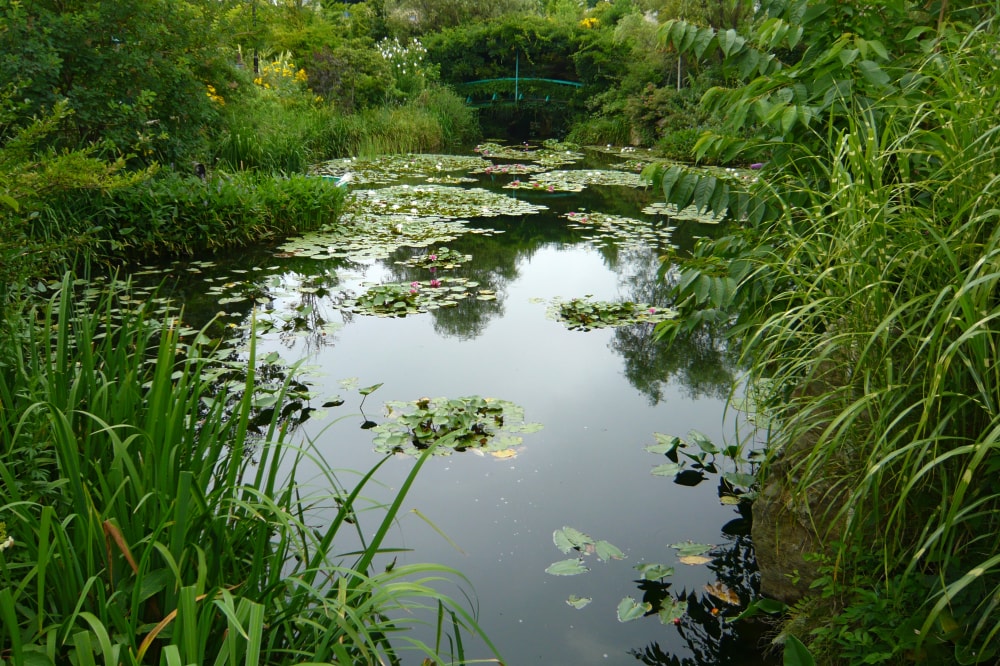 ガーデンミュージアム比叡の写真2