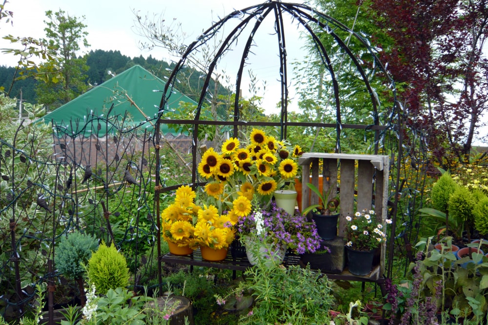 ガーデンミュージアム比叡の写真4