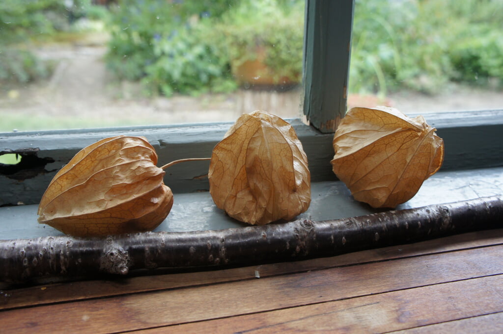 駒井家住宅の写真6