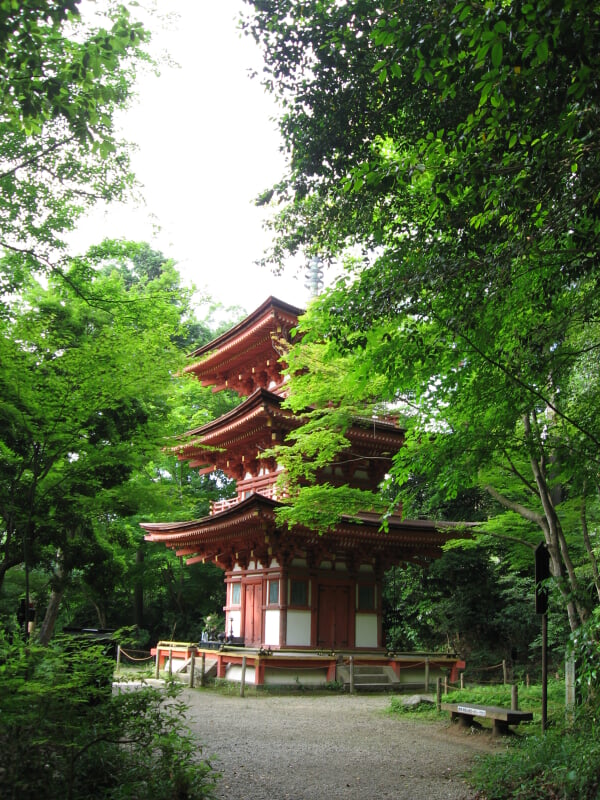 浄瑠璃寺の写真1