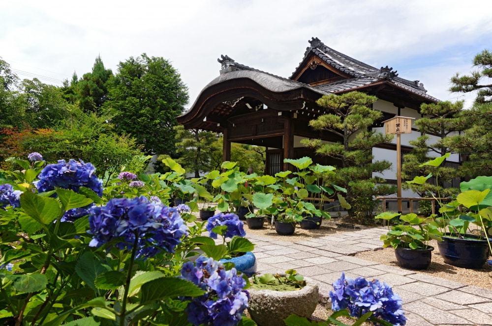 法金剛院の写真5