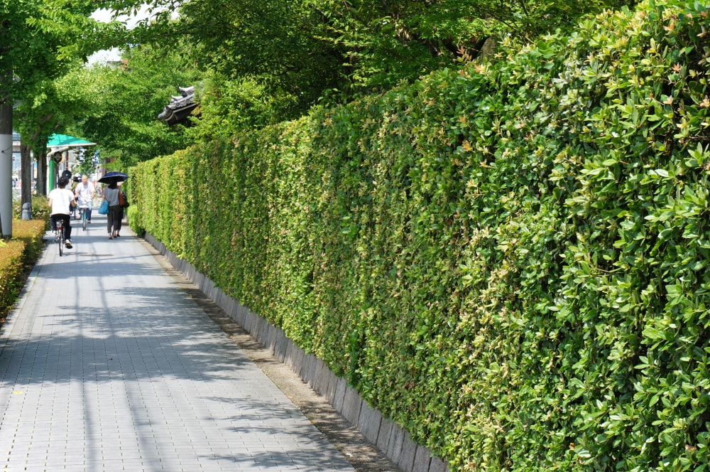 法金剛院の写真6