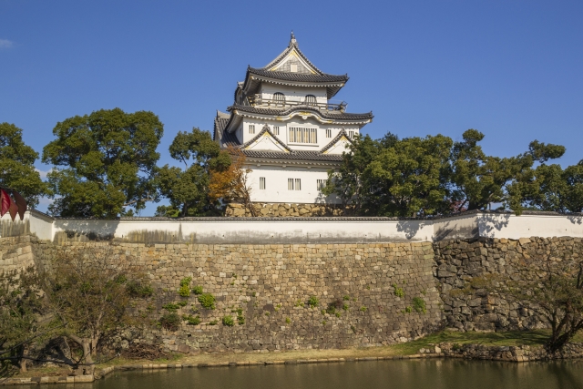 岸和田城の写真6